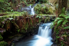 batan_carral_10