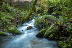 batan_carral_2