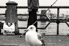 pesca_2